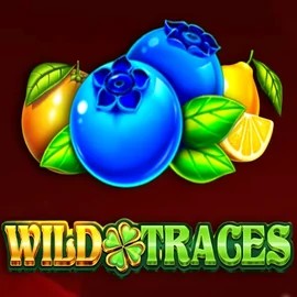 Wild Traces game by Amusnet Interactive – logo hosted on Spinjoys Casino
